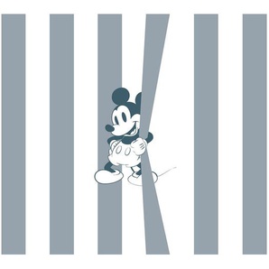 Disney Vliestapete Mickey Mouse, Cartoon, 200x250 cm, FSC Mix, Tapeten Shop, Vliestapeten