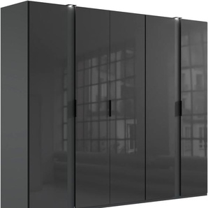 Drehtürenschrank WIMEX Rimini by fresh to go, 200, 250 oder 300cm Breite, 216cm hoch Schränke Gr. B/H/T: 250cm x 216cm x 58cm, 5 St., graift/ glas grey LED Bleuchtung inklusive, mit Glasfronten, Metallgriffen