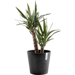 ECOPOTS Blumentopf VENICE Dark Grey, BxTxH: 40x40x35 cm