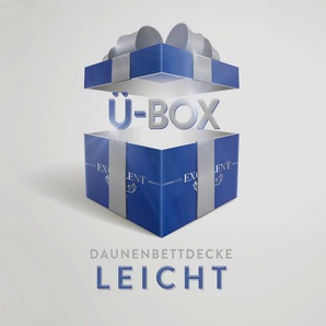 Excellent Daunenbettdecke Überraschungsbox, Füllung: 90% Daunen, 10% Federn, Bezug: Baumwolle, absoluter Sonderpreis, wegen Lagerräumung, Solange der Vorrat reicht