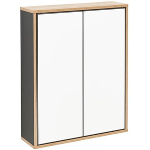 Fackelmann Spiegelschrank Finn anthrazit 60 x 75 x 20,5 cm