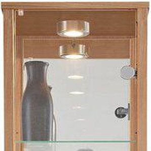 fif möbel Vitrine OPTIMA Standvitrine/Glasvitrine 1x Glastür,perfekt für Sammler,Sammlervitrine