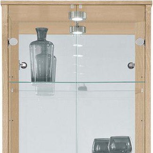 fif möbel Vitrine OPTIMA Standvitrine/Glasvitrine 2x Glastür,perfekt für Sammler,Sammlervitrine