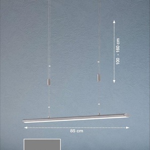 FISCHER & HONSEL LED Pendelleuchte Beat TW, Dimmfunktion, LED fest integriert, Neutralweiß, Warmweiß