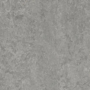 Forbo Marmoleum DECIBEL - 314635 serene grey Linoleum Bahnenware