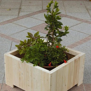 GASPO Blumenkasten Wels, BxTxH: 57x57x35 cm