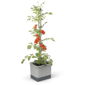 Gusta Garden Pflanzentopf TOM Tomato, Hellgrau, Kunststoff, rechteckig, 34.7x135.4x27.7 cm, Loch, frostgeeignet, Dekoration, Blumen & Zubehör, Übertöpfe