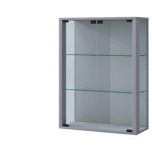 Hängevitrine | silber | 60 cm | 80 cm |