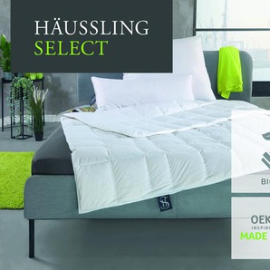 Haeussling Gänsedaunenbettdecke Select - Made in Green, Füllung: 100% Gänsedaunen, Bezug: 100% Baumwolle, nachhaltiges, hochwertiges Daunenprodukt