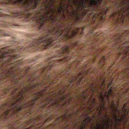 Banner-0