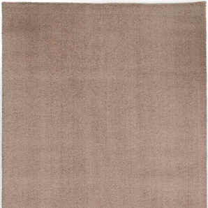 Hochflor-Teppich OCI DIE TEPPICHMARKE Soft Dream Teppiche Gr. B: 200cm, 30mm, L: 250cm, beige besonders weich durch Microfaser, Wohnzimmer