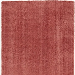 Hochflor-Teppich OCI DIE TEPPICHMARKE Soft Dream Teppiche Gr. B: 240cm, 30mm, L: 290cm, rot (rosenholz) besonders weich durch Microfaser, Wohnzimmer