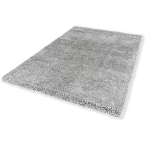 Hochflor-Teppich SCHÖNER WOHNEN-KOLLEKTION Savage 190 Teppiche Gr. B: 200cm, 45mm, L: 290cm, silberfarben Wohnzimmer