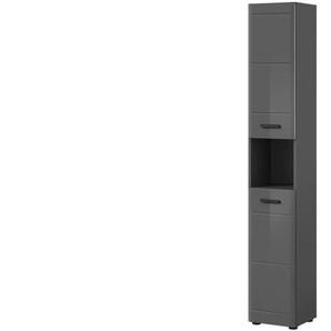 Hochschrank | grau | 30 cm | 180 cm |