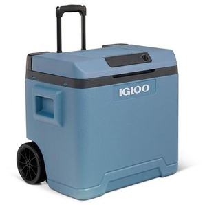 IGLOO Thermoelectric Cool Box IE42L ACDC - Blue