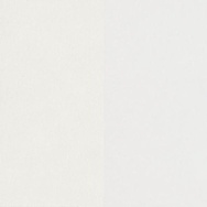 Banner-0