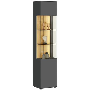 Jette Home Vitrine  Como ¦ grau ¦ Maße (cm): B: 47 H: 206 T: 38