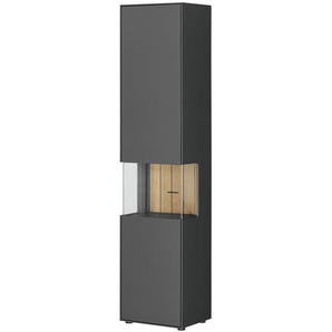 Jette Home Vitrine  Como ¦ grau ¦ Maße (cm): B: 47 H: 206 T: 38