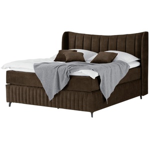 Kings and Queens Boxspringbett  Uldur ¦ braun ¦ Maße (cm): B: 174 H: 122