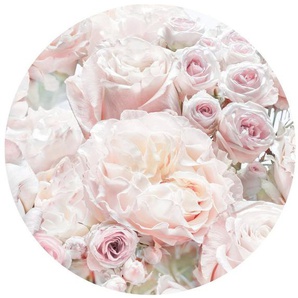 Komar Fototapete Pink and Cream Roses, (1 St), 125x125 cm (Breite x Höhe), rund und selbstklebend