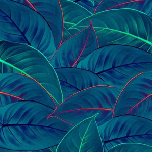 Komar Vliestapete Foliage, (1 St), 200x250 cm (Breite x Höhe), Vliestapete, 100 cm Bahnbreite