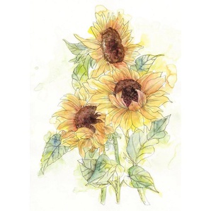 Komar Vliestapete Girasol, 200x250 cm (Breite x Höhe)