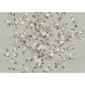 Komar Vliestapete, Grau, Rosa, Weiß, Floral, 350x250 cm, Fsc, Tapeten Shop, Vliestapeten