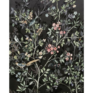 Komar Vliestapete, Grün, Rosa, Schwarz, Floral, 200x250 cm, Fsc, Tapeten Shop, Vliestapeten