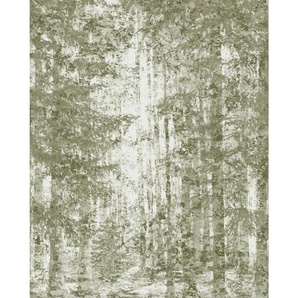 Komar Vliestapete, Grün, Weiß, Bäume, 200x250 cm, Fsc, Tapeten Shop, Vliestapeten