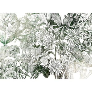 Komar Vliestapete, Grün, Weiß, Floral, 350x250 cm, Fsc, Tapeten Shop, Vliestapeten