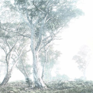 Komar Vliestapete Magic Trees, (1 St), 300x280 cm (Breite x Höhe), Vliestapete, 100 cm Bahnbreite