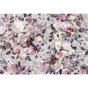 Komar Vliestapete, Mehrfarbig, Floral, 350x250 cm, Fsc, Tapeten Shop, Vliestapeten