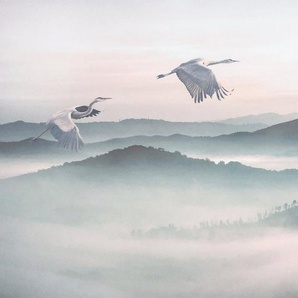 Komar Vliestapete Mystic Cranes, 400x280 cm (Breite x Höhe)