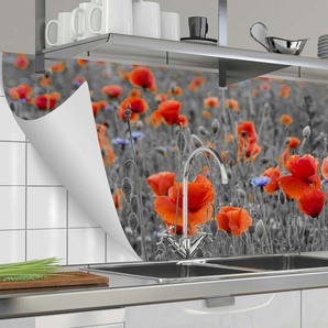 Küchenrückwand-Folie Fixy Poppy | 60 cm | 60 cm |