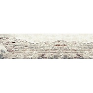 Banner-0