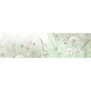 Banner-0