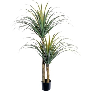 Künstliche Zimmerpflanze Dracaena draco Sukkulente, Creativ green, Höhe 130 cm