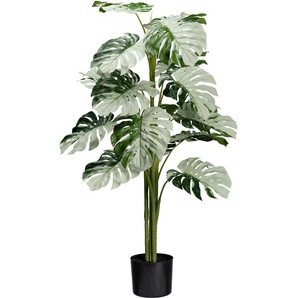 Künstliche Zimmerpflanze Monstera Variegata Halfmoon Grünpflanze, Creativ green, Höhe 115 cm, mit außergewöhnlichem Blattwerk