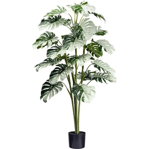 Künstliche Zimmerpflanze Monstera Variegata Halfmoon Grünpflanze, Creativ green, Höhe 140 cm, mit außergewöhnlichem Blattwerk