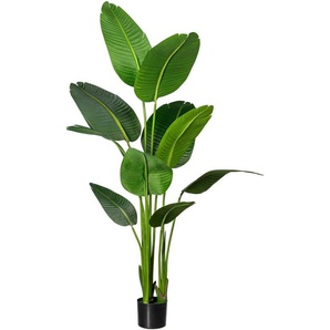 Künstliche Zimmerpflanze Strelitzia Strelitzia, Creativ green, Höhe 160 cm