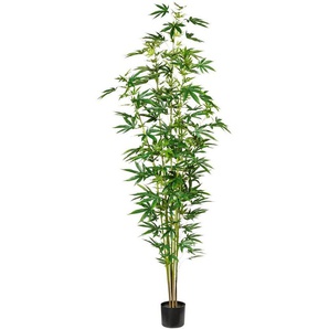 Künstliche Zimmerpflanze Zierhanfpflanze Zierhanf, Creativ green, Höhe 210 cm