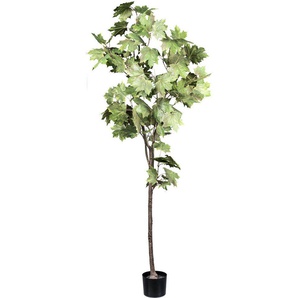 Kunstbaum Ahornbaum Ficus Benjamini, Creativ green, Höhe 175 cm, mit detailgetreuen Blättern