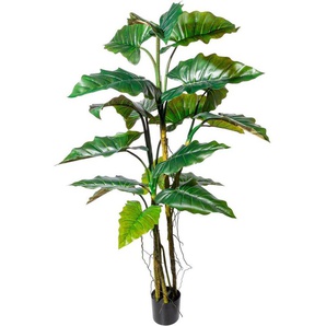 Kunstbaum Colocasia Grünpflanze, Creativ green, Höhe 180 cm