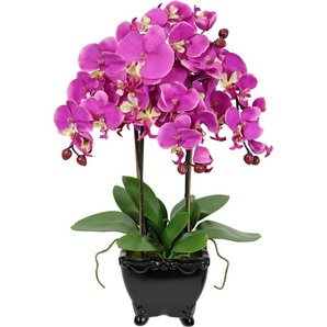 Kunstblume Künstliche Orchidee in Schale Phalaenopsis Kunstblume Blume, I.GE.A., Höhe 60 cm, Kunstorchidee Deko Dekoblume Seidenblume