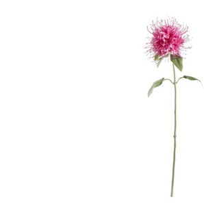 HOME STORY Kunstblume Monarda ¦ rosa/pink ¦ Kunststoff