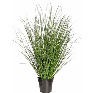 Kunstgras Miscanthus Zebrinus, Creativ green, Höhe 110 cm