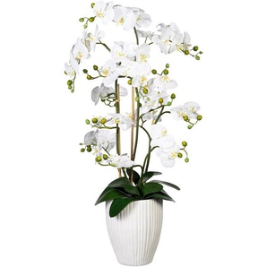 Kunstorchidee Deko-Orchidee Phalaenopsis XL im Keramiktopf Orchidee Phalaenopsis, Creativ green, Höhe 110 cm