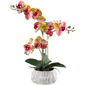 Kunstorchidee Orchidee Phalaenopsis, Creativ green, Höhe 48 cm, mit außergewöhnlicher Zementschale