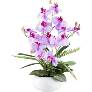 Kunstorchidee Orchidee Phalaenopsis, Creativ green, Höhe 55 cm, mit Farnzweigen