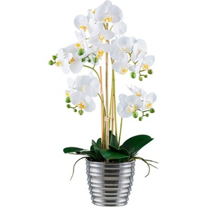 Kunstorchidee Orchidee Phalaenopsis, Creativ green, Höhe 62 cm, mit silberfarbenem Keramiktopf